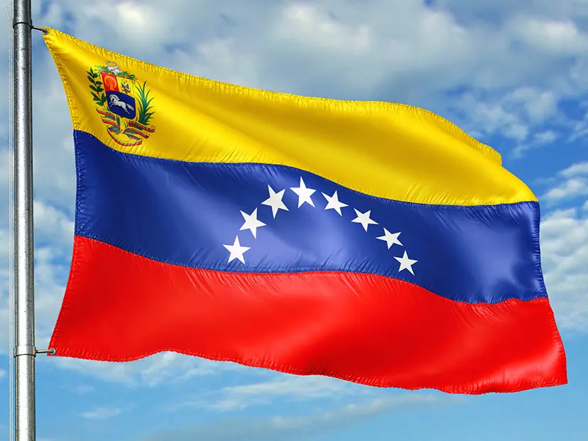 Venezuela Flag